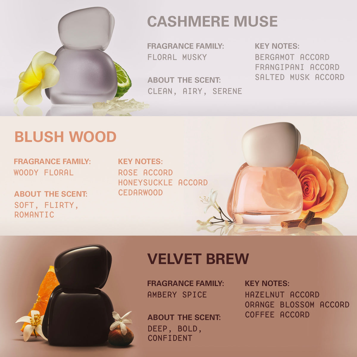 Mood Stones Starter Gift Set | <KF191>