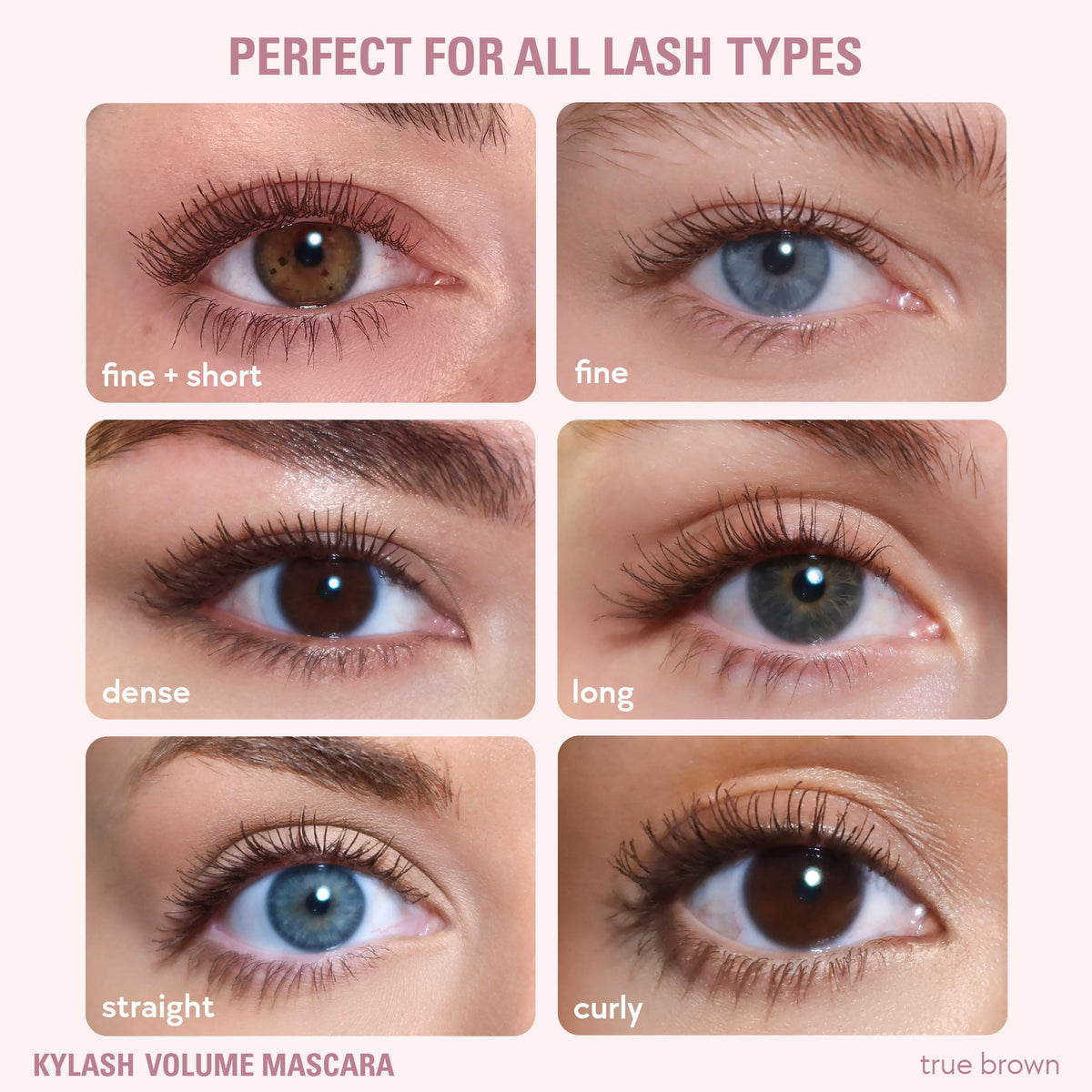 <Eyeshadow Brush & Classic Matte Palette & Kylash Mascara Bundle>|<KBUN174>