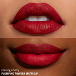 <Plumping Powder Matte Lip>|<KC810>