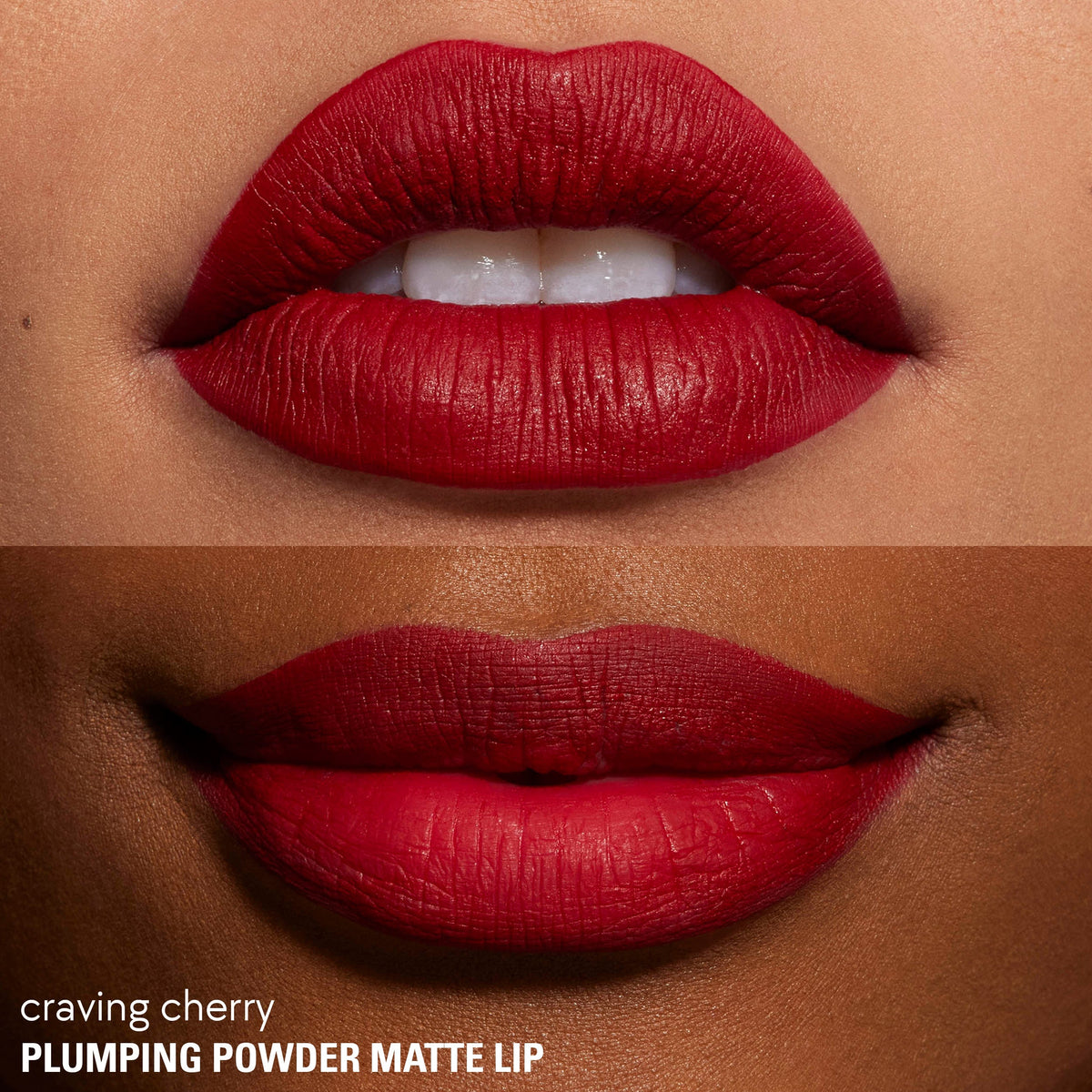 <Plumping Powder Matte Lip>|<KC810>