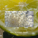 Cashmere Muse Eau De Parfum | <KF161>