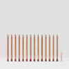 Precision Pout Lip Liner Bundle